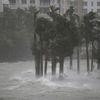 Hurricane Irma Pummels Florida, Authorities Warn Of 'Imminent Danger Of Life-Threatening Storm Surge' 